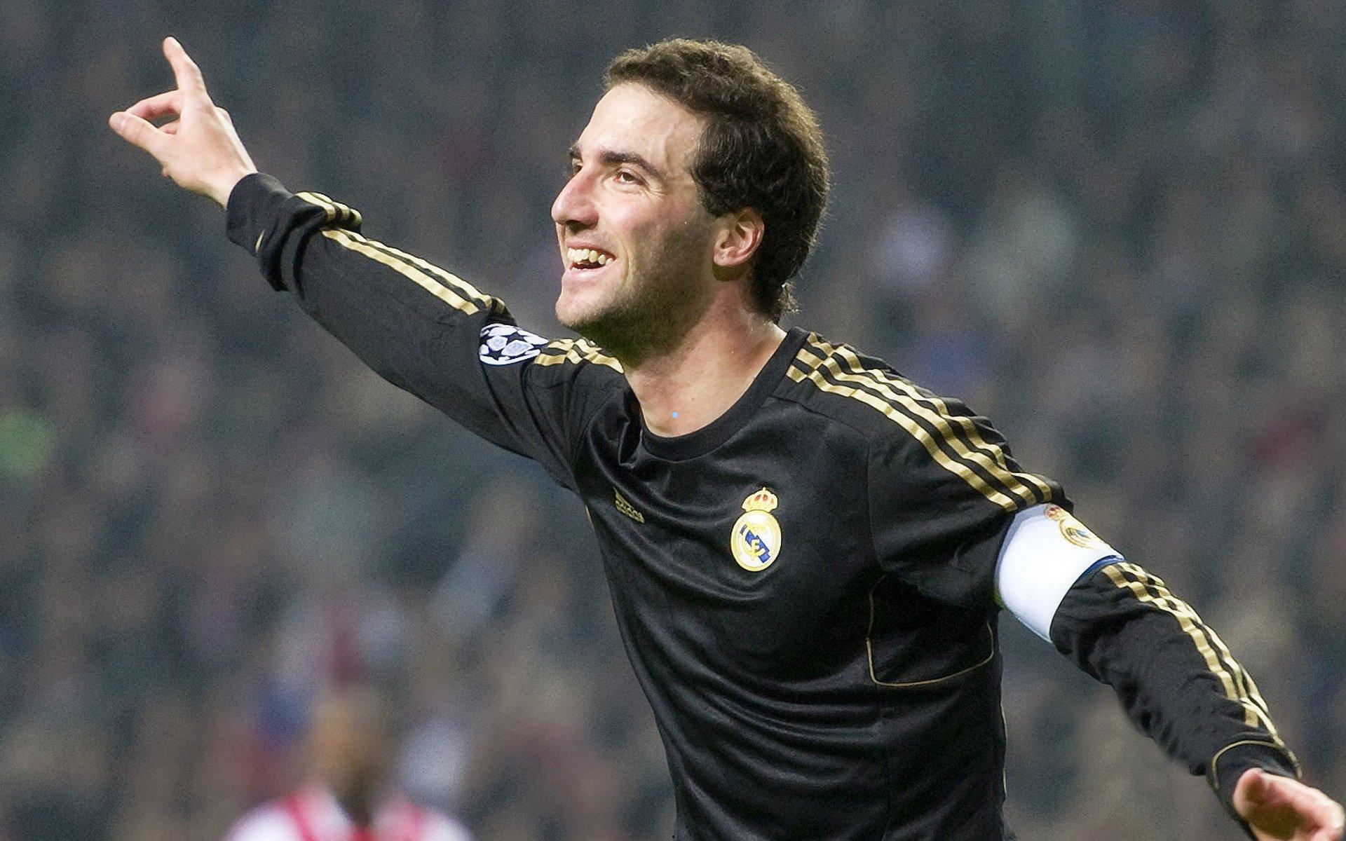 争议中的绿茵场，摩洛哥为筹备2030世界杯开展流浪动物管理引发国际关注