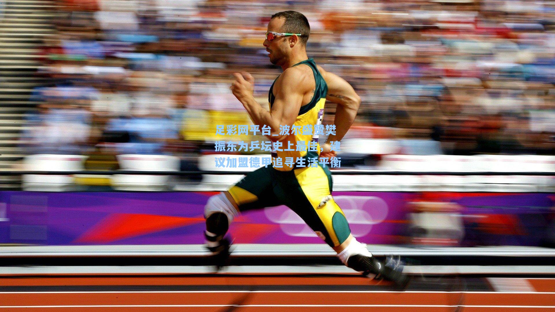 波尔盛赞樊振东为乒坛史上最佳，建议加盟德甲追寻生活平衡